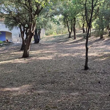 فيلة Le Petit Chamaret